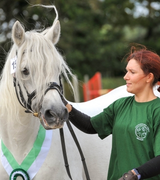 Nationale Connemarashow