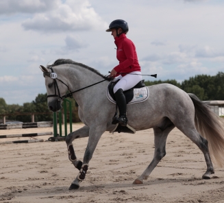 nationale connemarashow 2026